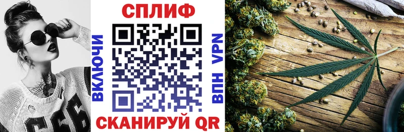  COCAIN Горняк