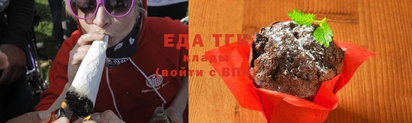 мдпв Горнозаводск