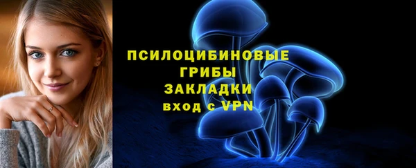 PSILOCYBIN Горняк