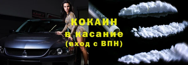 PSILOCYBIN Горняк