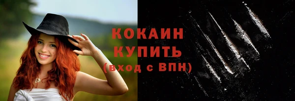 мдпв Горнозаводск