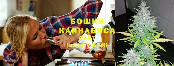 мдпв Горнозаводск