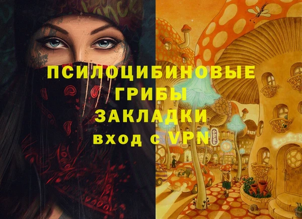 мдпв Горнозаводск