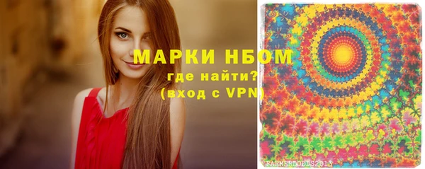 PSILOCYBIN Горняк